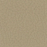 leather-br-365.jpg